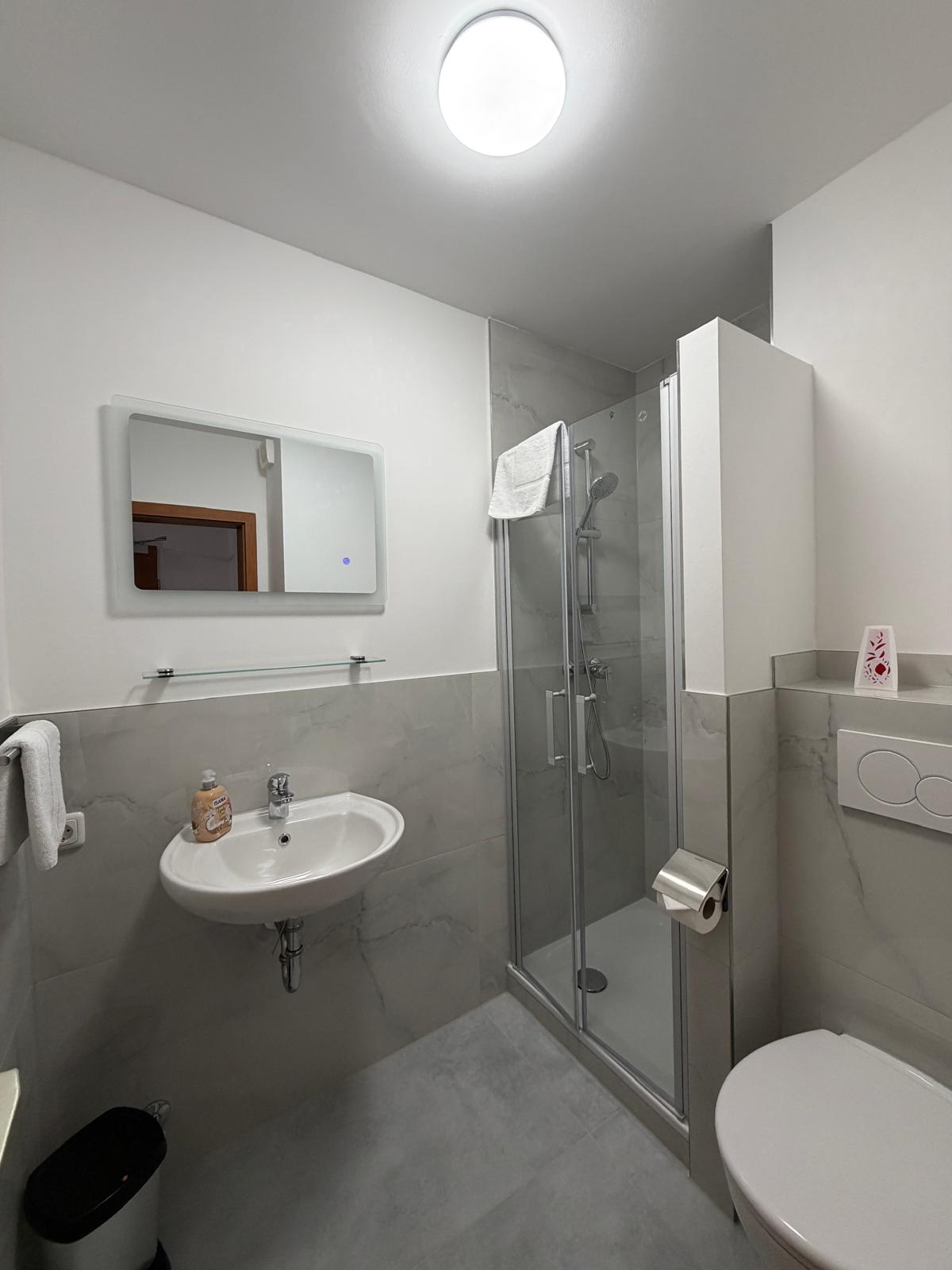 Modern grey bathroom with glass shower at Hotel Weller Riedstadt
